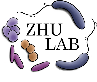 Zhu Lab logo